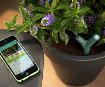 Биологический аккумулятор позволит заряжать смартфоны от растений
